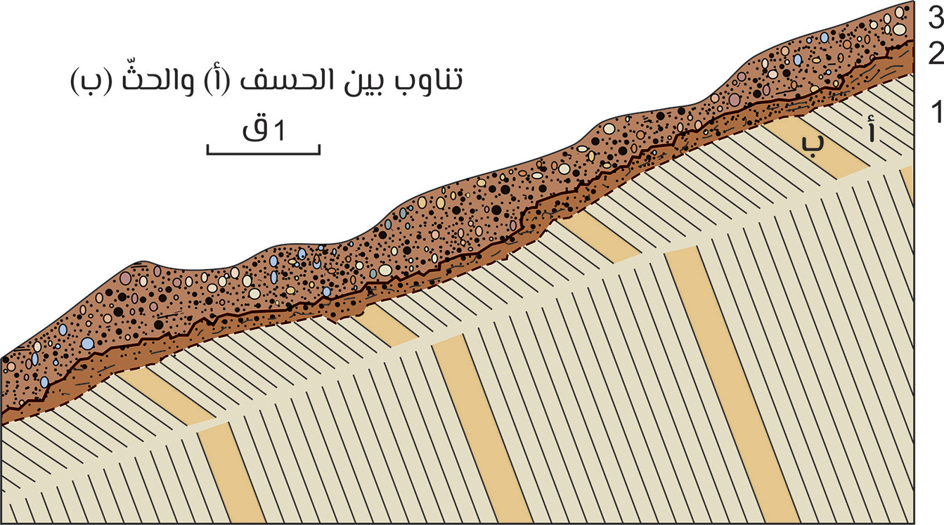 154.jpg